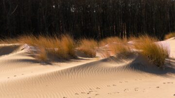 Kraków w jeden dzień – praktyczny plan zwiedzania dla zabieganych